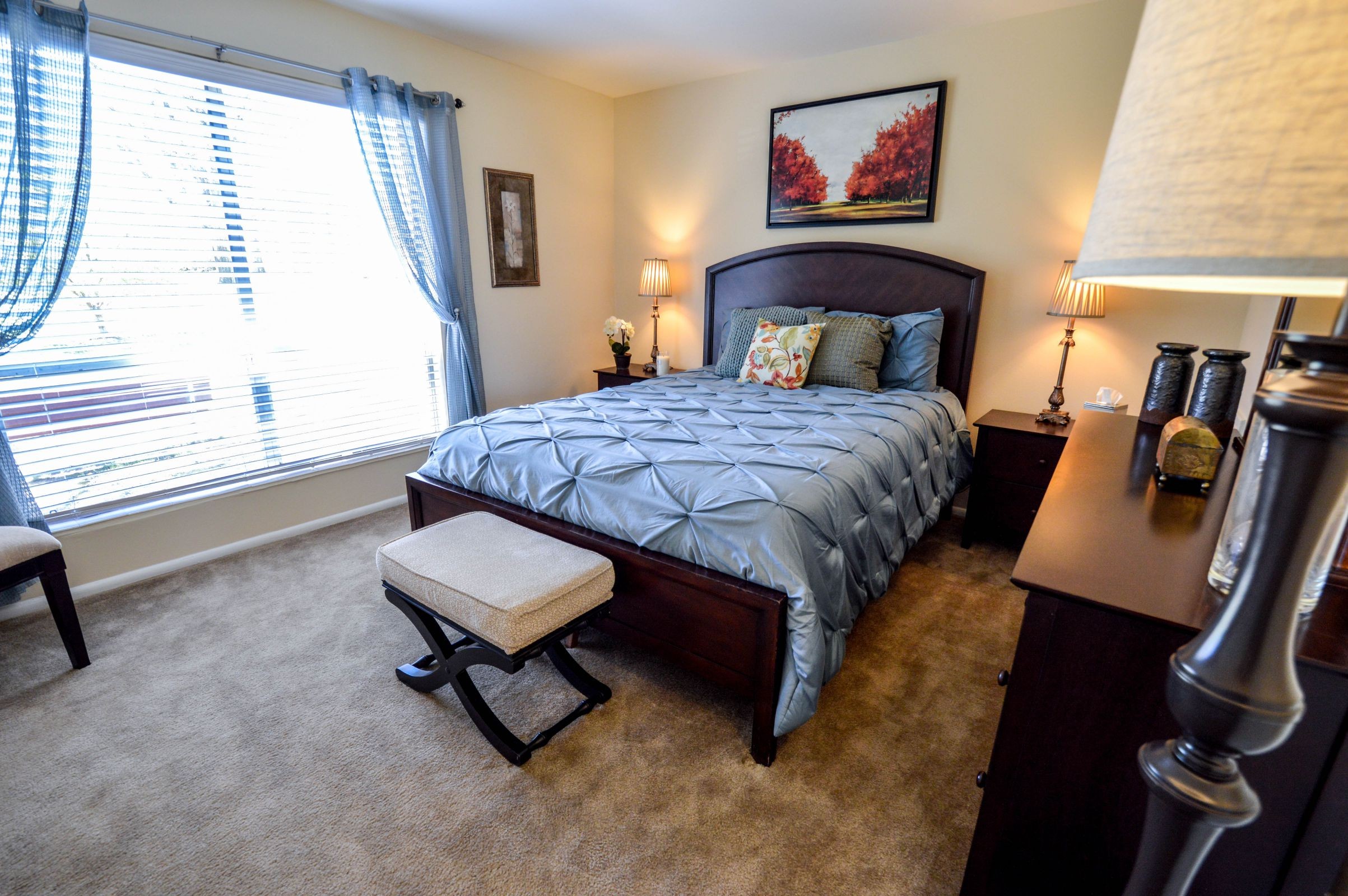 The Cheapest Apartment Rentals In Upper Roxborough, Explored